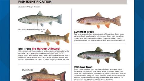 fishing regulations idaho